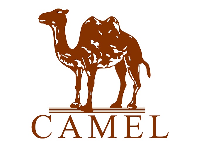 camel